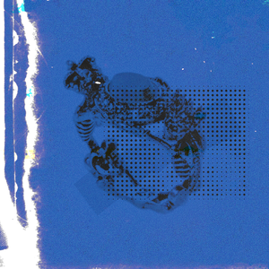 阿德陈玉滢五部曲和五部曲的主要内容概括
