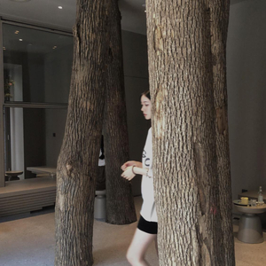 阿德陈玉滢五部曲和五部曲的主要内容概括
