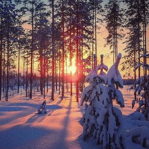 阿德陈玉滢五部曲和五部曲的主要内容概括
